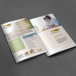 Savanna Pride Brochure Design